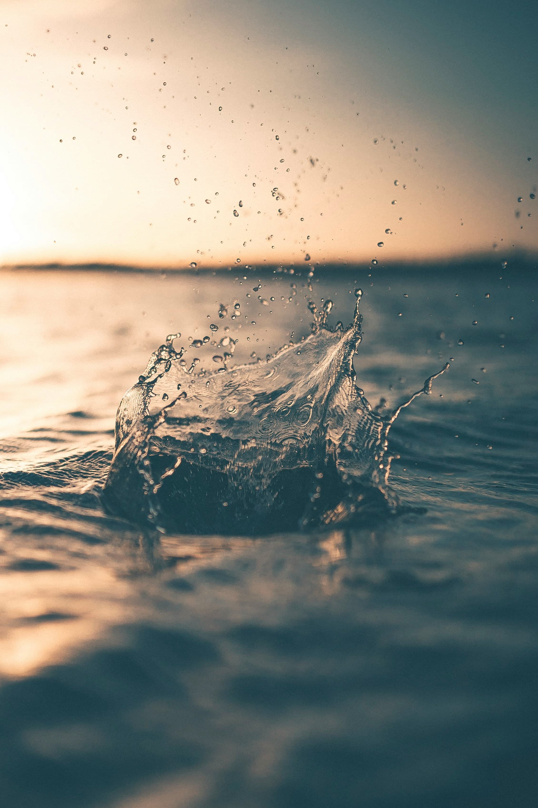 Het waterarrest: nieuw eindpunt voor milieuvergunningen in Vlaanderen ?