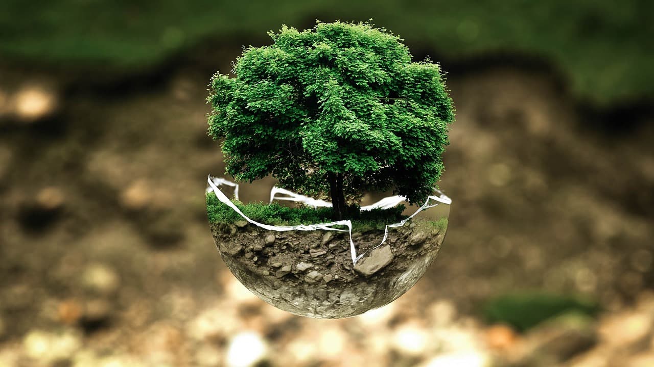 #REACT : avant-projet de décret wallon sur la réforme du permis d'environnement