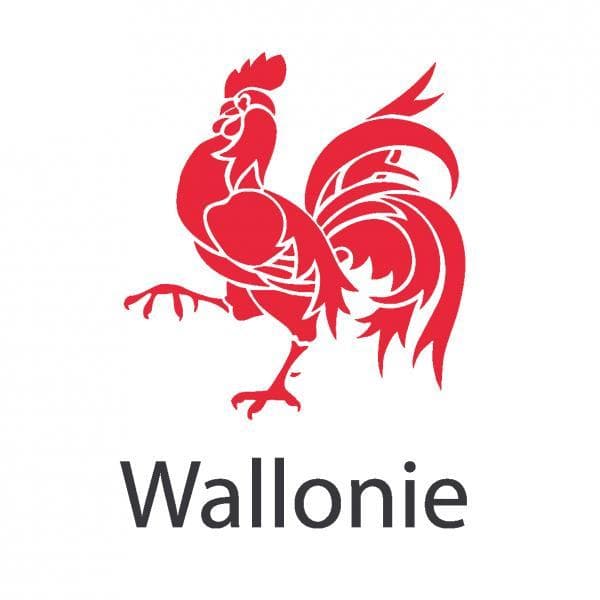 COVID-19 : Mesures de soutien aux entreprises de la Région wallonne
