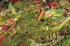 Group Op De Beeck Materials & Treatment lance un projet sur la conversion des déchets organiques en bioplastiques