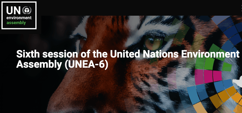 #REACT : en tant que membre de la délégation belge à la sixième Assemblée pour l'environnement de l'ONU  à Nairobi ?