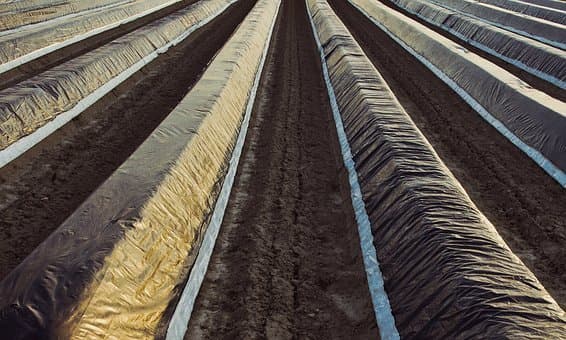 Vers une collecte durable des films agricoles