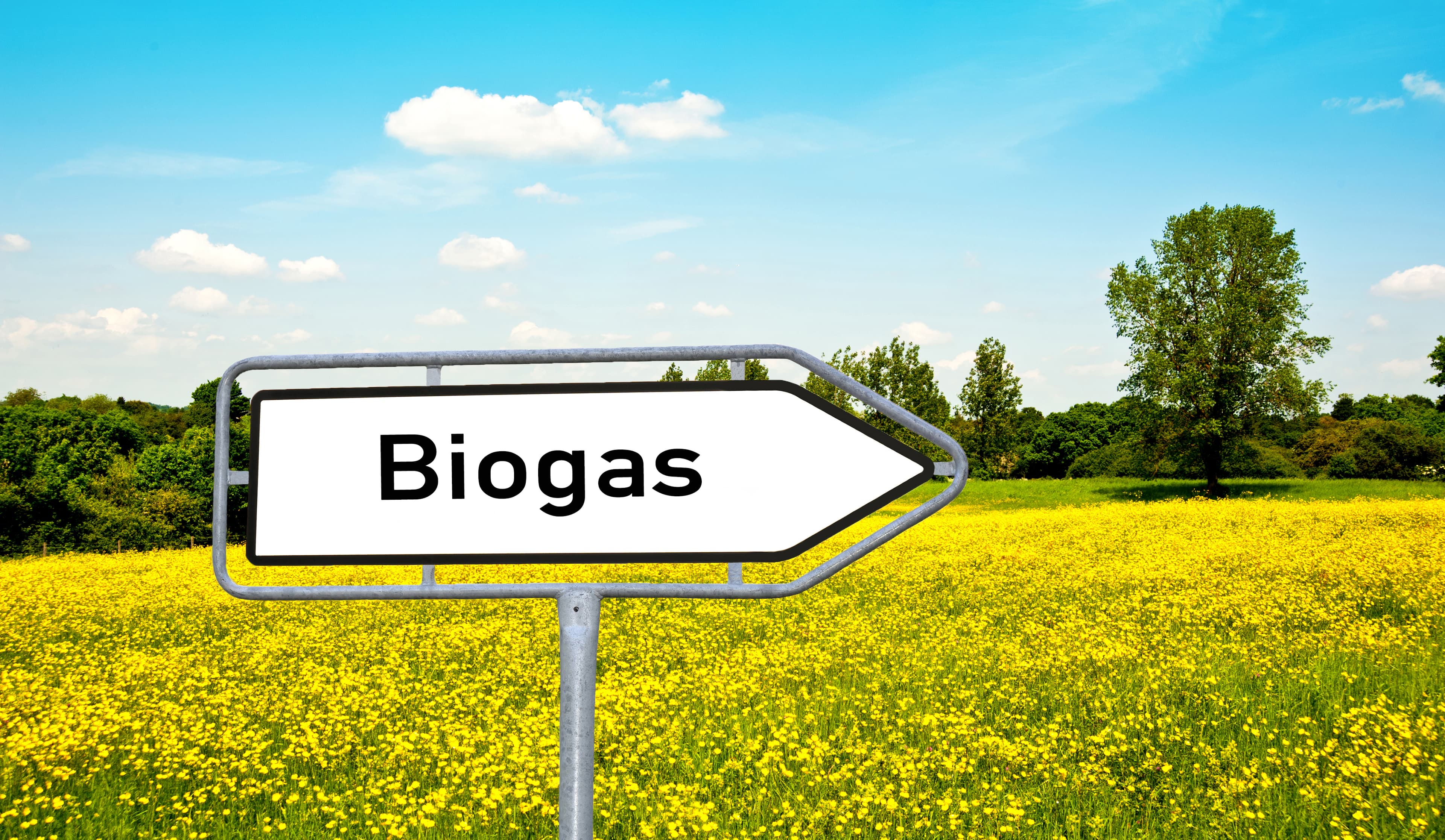 #REACT: VEKA vraagt Denuo om advies mbt methodologie actualisatie bandingfactoren