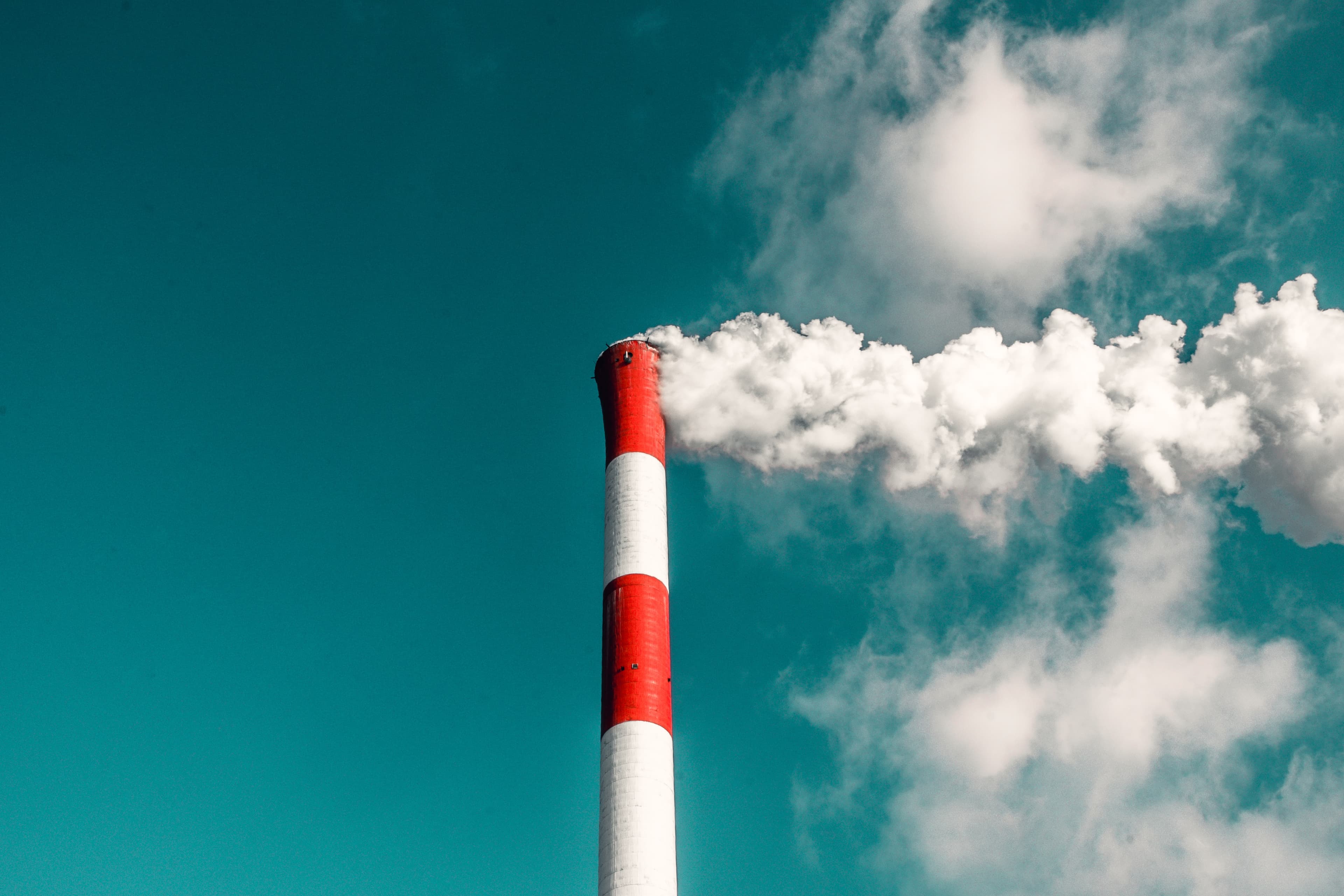 #REACT : certifications des absorptions de carbone : position de la FEAD à la proposition de la Commission Européenne